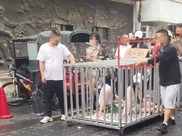 为流量摆拍“浸猪笼”绝非孤例：你看到的猎奇视频可能是剧本从卖惨到造假无底线博流量该踩刹车了 湘江论见